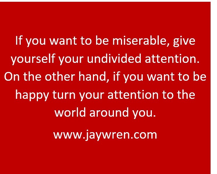 If you want to be miserable, give yourself your undivided attention. On the other hand, if you want to be happy turn your attention to the world around you. www.jaywren.com