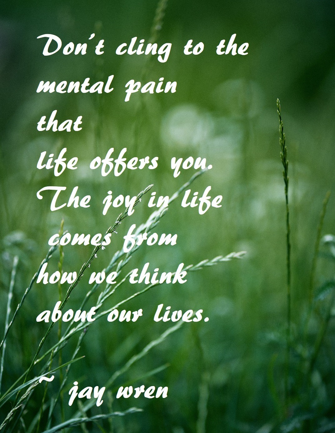 Don’t cling to the mental pain that life offers you. The joy in life comes from how we think about our lives. ~ jay wren